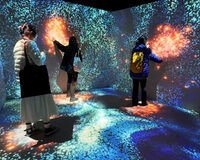 Animation numérique immersive à Alise-Sainte-Reine