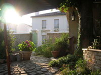 Visite du jardin de la rue Pascal à Cognac