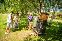 Atelier de distillation à l’ancienne de la lavande au pied du Vercors à Chamaloc