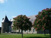 Visite historique dans un cadre bucolique à Paizay-Naudouin-Embourie