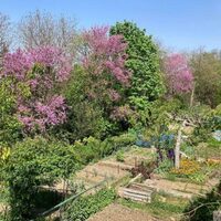 Découverte et balade surprise dans les jardins à Lyon 9e