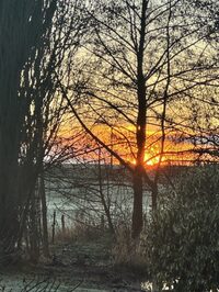 Spectacle déambulatoire : arbres en magie, une déambulation enchantée à Loisail