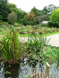 Visite guidée découverte historique et sensorielle du jardin des plantes à Caen