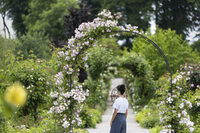 Animation jeune public : atelier “ À la loupe ! : observer la nature autrement " à Saint-Pierre-de-Varengeville