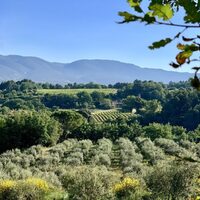 Moulin du Grand Cèdre - Bastide du Laval à Cadenet