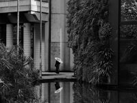 Nature en vues à Bordeaux
