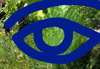 A TRAVERS NOS YEUX à Pierre-Bénite