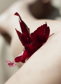 Solène Reymond -Transformations à Bordeaux