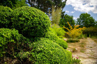 Rendez-vous aux Jardins de La Bruyère à Plaintel
