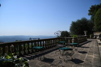 Visite découverte des jardins d'une oliveraie à Grasse