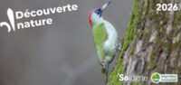 Découvertes Sologne Nature Environnement - Les tambours de la forêts à Romorantin-Lanthenay
