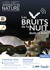 Les bruits de la nuit à Le Pavillon-Sainte-Julie