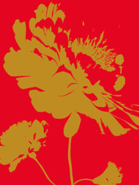 La route fleurie à Marseille 1er