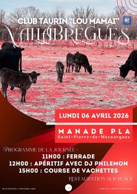 Journée Taurine à Saint-Pierre-de-Mézoargues