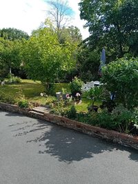 Visite guidée du jardin du Donkerval à Esquelbecq