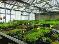 Visite libre des serres de la ville à Avranches