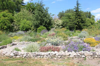 Promenade dans un jardin libre et foisonnant à Suèvres