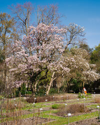 Balade contée au Jardin botanique du Jardin public à Bordeaux