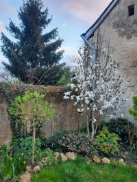 Visite découverte à Vallée-de-Ronsard