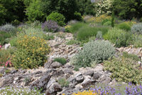 Visite guidée du jardin à Suèvres