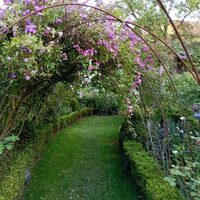 Visite du jardin d'Adrienne à Dyé