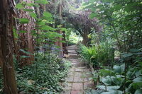 Visite d'un jardin naturel et son potager en Tarn et Garonne. à Auterive