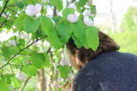 Atelier regard : sieste contemplative à Roquesérière