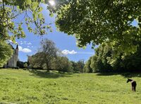 Balade découverte du parc du château de Luanges à Urzy
