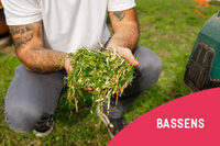 Jardiner au naturel - Tailles et tontes à Bassens