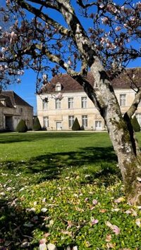 Visite des jardins du château de Viviers à Viviers