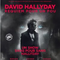 DAVID HALLYDAY à Laval
