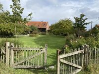 Le jardin de Cindy et Eric à Orchies