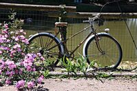 DÉCOUVERTE JARDIN DES EAUX à Sarcey