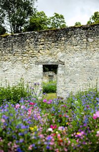 Installation : Couleurs au potager à Le Mérévillois
