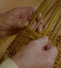 Stage vannerie sauvage à Bouguenais