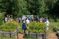 Visite guidée du jardin antique expérimental - Ateliers pour petits et grands à Saint-Romain-de-Jalionas