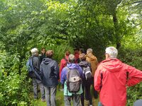 Découverte des Sentiers de l’Adour à Saint-Sever