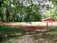De ferme en ferme : Ferme des Luys à Serres-Castet