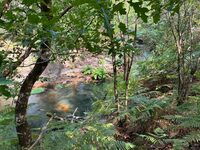 Balade nature à Sainte-Eulalie-en-Born