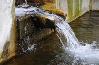 Balade "L'eau qui façonne les paysages" à Queaux