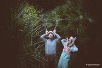 Festival du Conte / Compagnie l'Aurore - Le Cerf au Sabot d’Argent à Capbreton