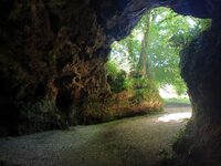 Visite du site archéologique des grottes du Pape - Accès rapide à Brassempouy