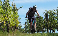 Rando à la ferme avec Trott'Iraty et pique-nique du berger à Saint-Jean-Pied-de-Port