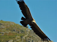 Randonnée Ramondia : Autza à Saint-Étienne-de-Baïgorry