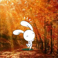 Animation nature en famille : Peinture végétale à Moirax