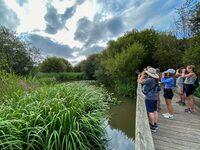 Découverte du Marais d'Orx à Labenne
