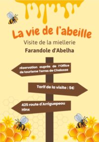 La vie de l'abeille - visite d'une miellerie à Hinx