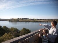 Les oiseaux communs du lac de la Prade à Bazas