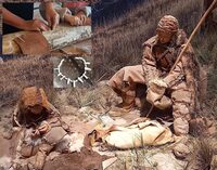 Atelier des p'tits curieux "Habiter, chasser, se nourrir à Pille-Bourse " à Saint-Germain-de-la-Rivière