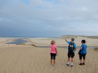 Balade Pédestre guidée à Moliets-et-Maa